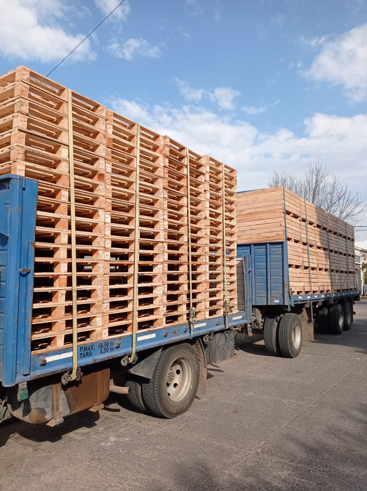 Pallets Fenopack